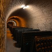 barrel room harvesting wine vintages napa valley karimi elleary