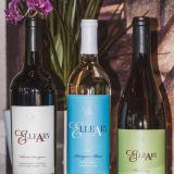 Elleary Wine Stack wines Cabernet Sauvignon 2021 - Sauvignon Blanc 2023 Chardonnay 2022